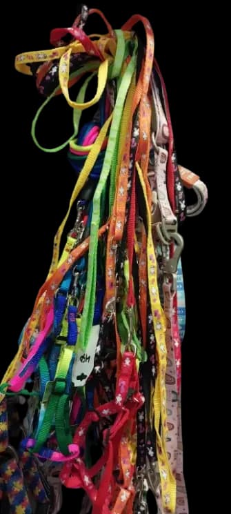 Dog Leashes