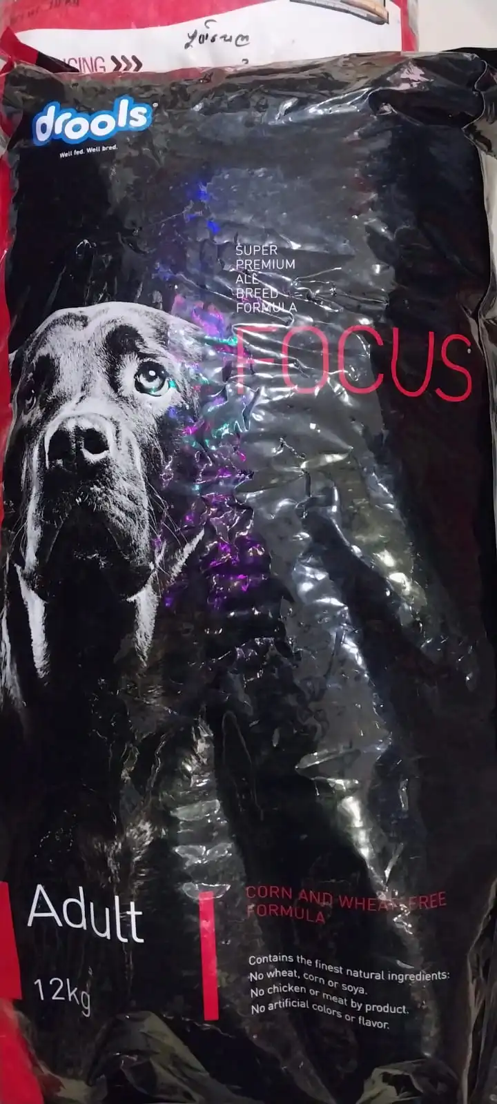 Drools Focus Adult (Super Premium All Breed Formula)